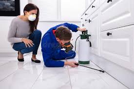 Best Pest Prevention Services  in Nesconset, NY